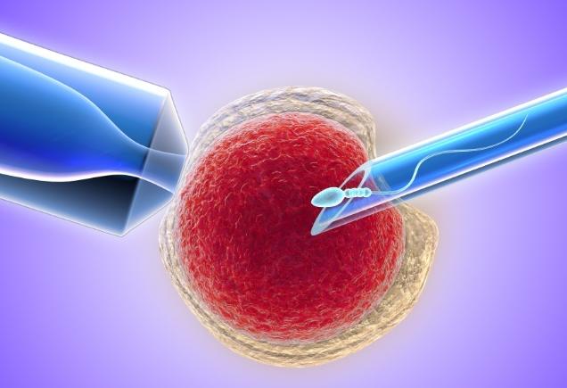 做试管需要住院多长时间？附试管各阶段治疗时长