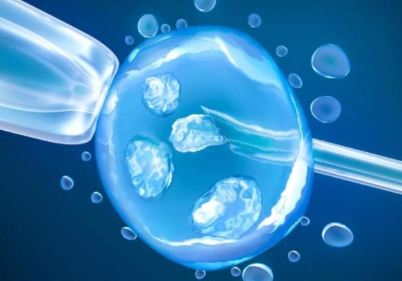 宁德三代试管费用明细表分享，由这几个方面构成