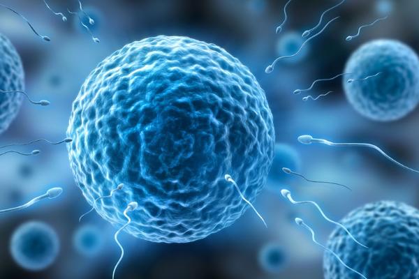 泰国试管生孩子的费用，一对宝宝需要花费多少钱