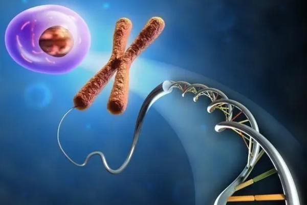 漳州第三代试管基因筛查介技术介绍,存在这些优势!