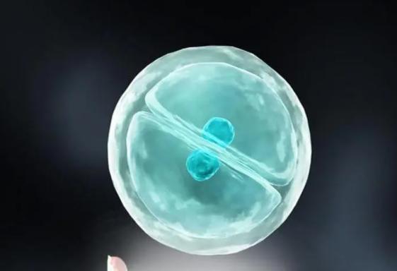 2023辽宁三代试管解读:知晓三代试管步骤及注意事项