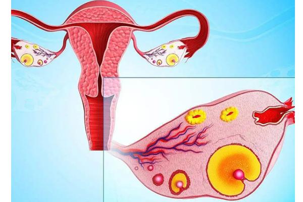 日本海外试管助孕揭秘：微刺激取卵方式成功率翻倍