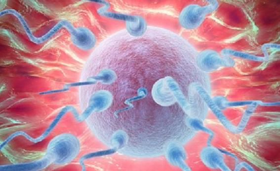 2023上海试管婴儿费用构成表，内附降低费用方法一览