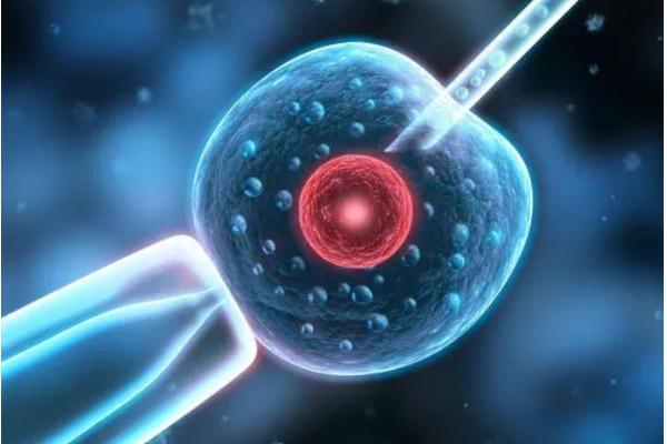 泰国三代试管的精源都是泰国人吗，能选择精源的国籍吗？