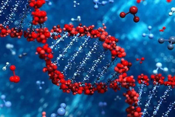 山东医院三代试管婴儿技术如何？超多优点快来了解