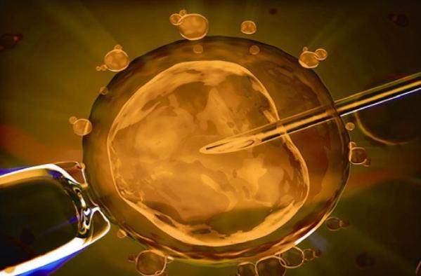 2023北京三代试管婴儿费用不便宜，选择时一定要慎重！