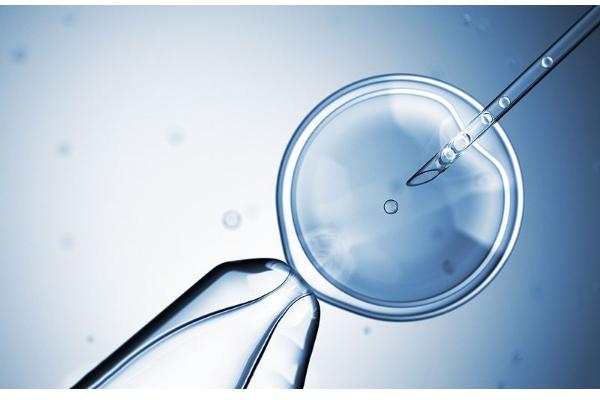 我国三代试管与泰国三代试管的成功率对比，揭秘差距之谜