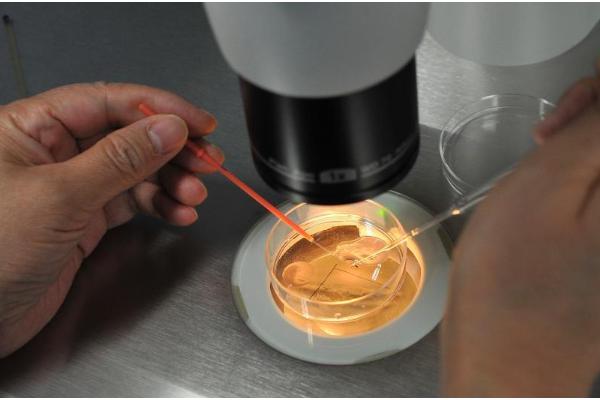 泰国试管婴儿行业术语揭秘，“直营”就是医院