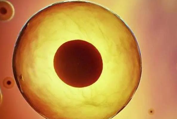 泰国试管与美国试管技术上有什么区别?去哪里做试管更好