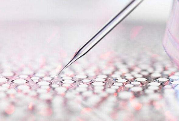 为什么越来越多的人选择去美国做试管婴儿?因为价格便宜成功率高