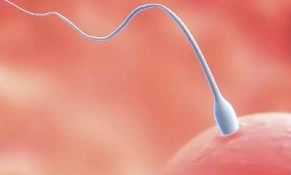 试管婴儿可以直接助孕吗？科普试管婴儿技术与助孕方式