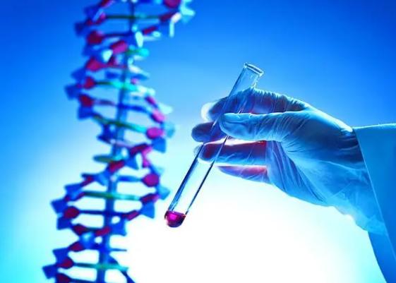 第三代试管婴儿技术在泰国大获成功！成功率之谜揭晓！