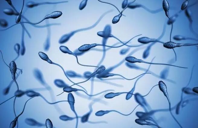 湖南地区试管婴儿可以报销吗，花三分钟了解一下！