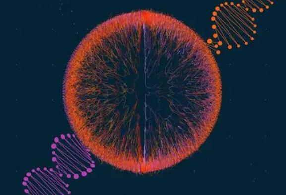 2023泰国三代试管婴儿费用明细表，了解每一笔支出