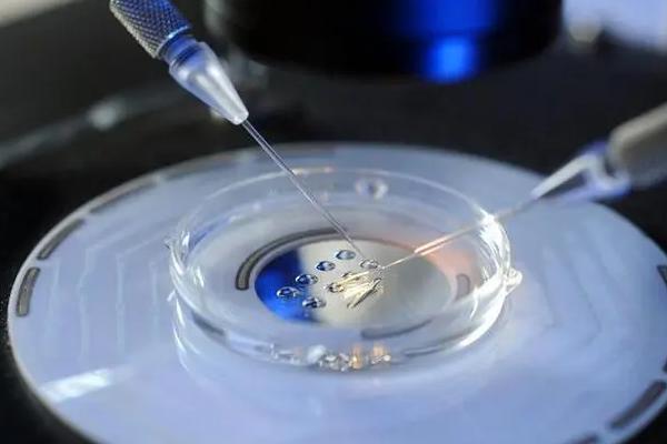 日本做试管婴儿需要多少钱，本文详细介绍（附项目费用清单）