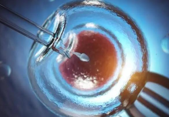 河南试管婴儿补助公开，让你尽享生育福利！