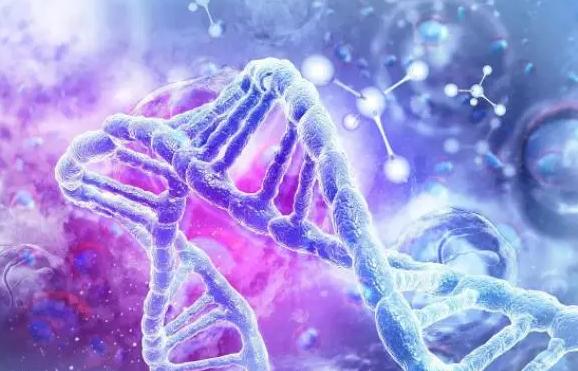 济南试管医院第三代试管怎么样？速来了解一下！