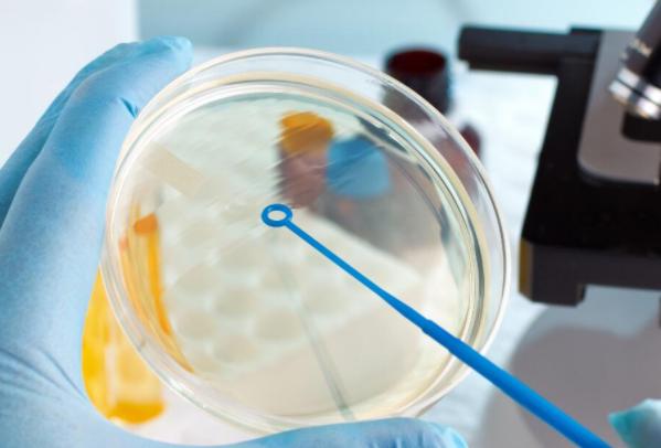 美国试管婴儿的费用和成本分析,你不容错过的攻略