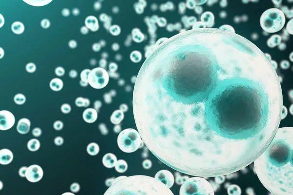 菏泽第三代试管可以做双胞胎吗？需考虑母亲身体状况