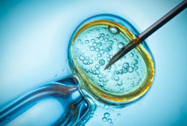 遵义三代试管可助您实现宝宝生孩子！方法揭秘！