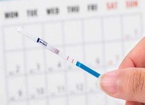 试管移植时间计算的技巧，让你获得成功怀孕