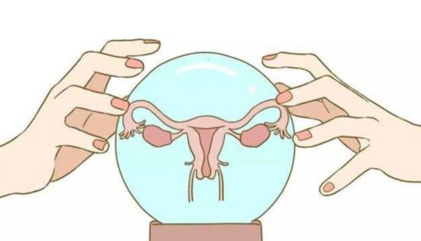 不只是生育工厂，始基子宫也有性需求？