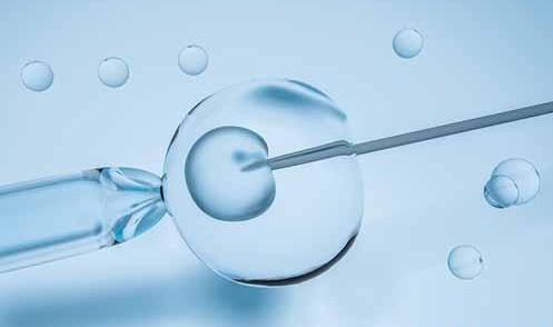 养囊受孕,究竟需要多少钱?试管养囊费用大曝光