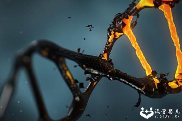 做一代试管会生出唐氏儿吗？概率是多少？