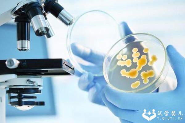 黄体功能不全试管如何促排?适合哪种促排方案?