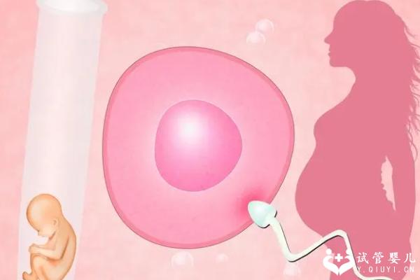试管卵泡是空的怎么办？还能成功受孕吗？