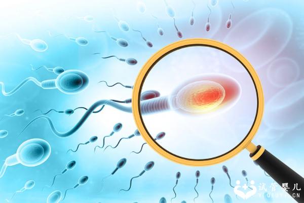 哪些妇科病不建议做试管?阴道炎和宫颈糜烂能做吗?