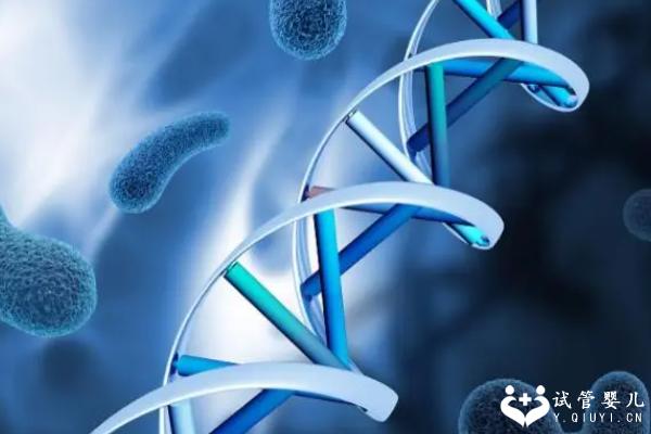 女性染色体异常能做试管吗？会不会影响胚胎？