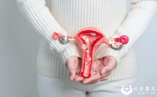 中度宫腔粘连手术后多久能试管？会影响移植成功率吗？