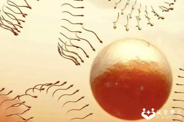 先天性无子宫怎样能怀孕？做试管可行吗？