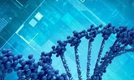 2024做三代试管可以筛查哪些遗传病？