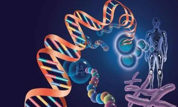 试管婴儿移植前自己体内膜转型说明什么问题？