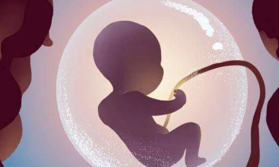 试管移植一枚4cc囊胚会不会对孩子产生影响？