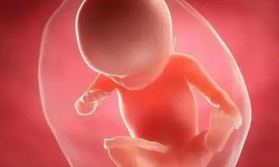 试管婴儿移植三天冻胚8细胞2级的成功率高有多高？