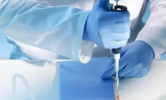 试管婴儿是选择养囊好还是鲜胚移植好？