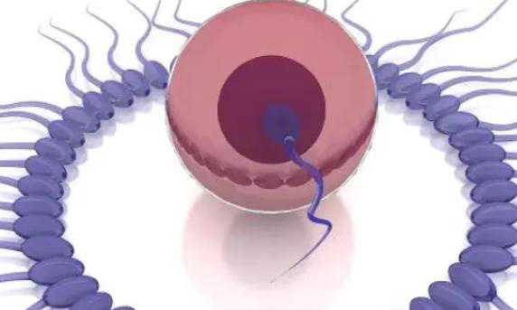 无精症去哪里做试管婴儿成功率高？北京还是上海？