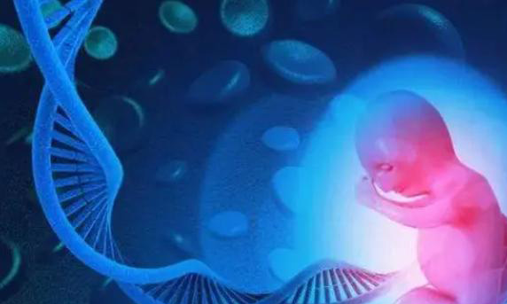 试管冻胚移植时间应该安排在月经中期吗？