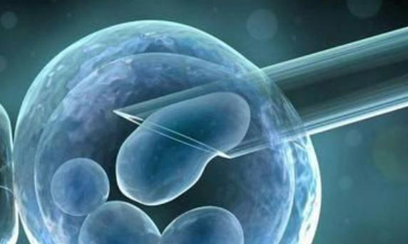 试管婴儿取卵针17G是什么?