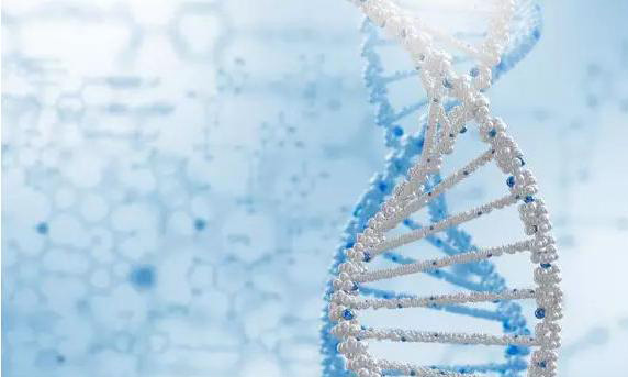 无精症患者做第几代试管婴儿成功率高?