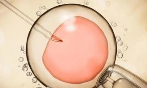 做胚胎移植手术前能不能染头发？