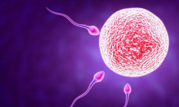 做三代试管婴儿对女性的伤害大吗？