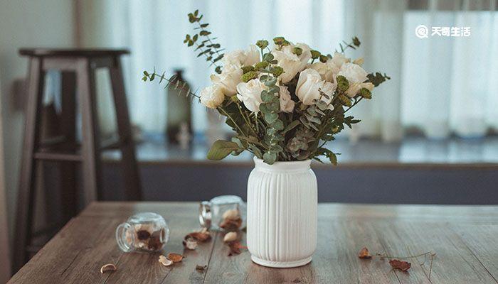 白玫瑰花语是什么