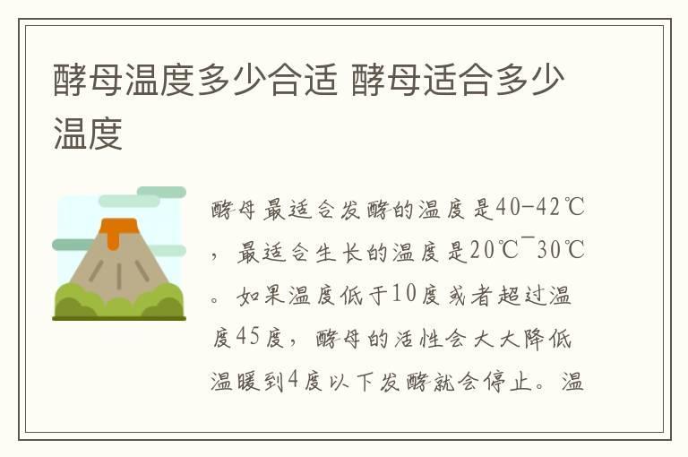 酵母温度多少合适 酵母适合多少温度