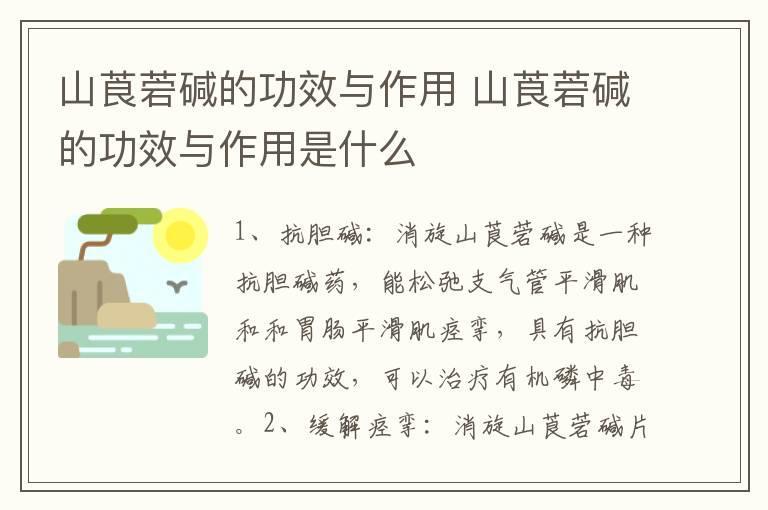 山莨菪碱的功效与作用 山莨菪碱的功效与作用是什么