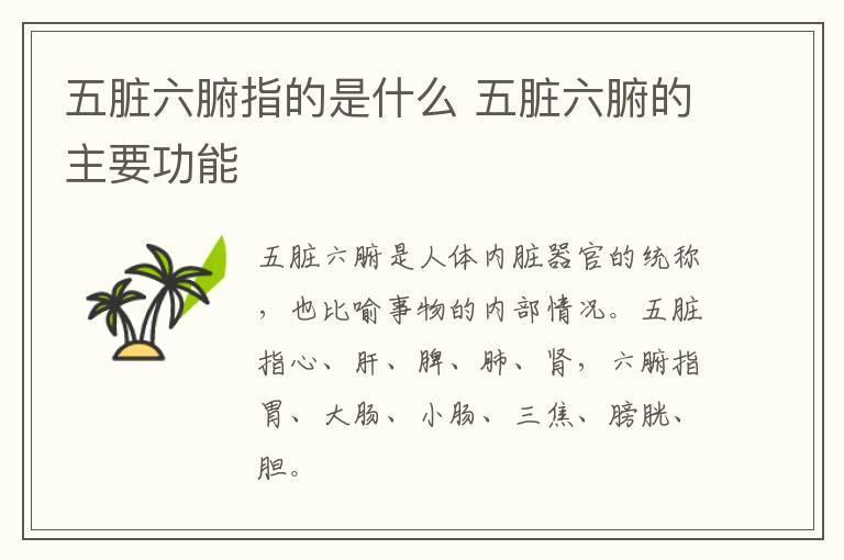五脏六腑指的是什么 五脏六腑的主要功能