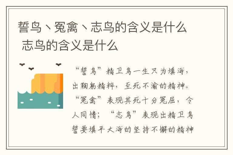 誓鸟丶冤禽丶志鸟的含义是什么 志鸟的含义是什么